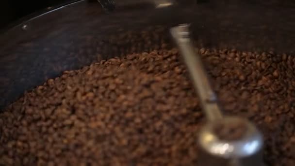 Mixing roasted coffee. - 映像、動画