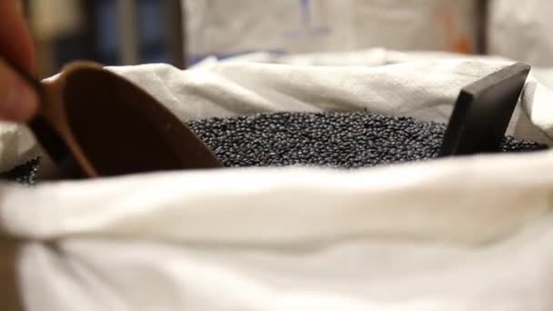 Large bag with black lentils - Video