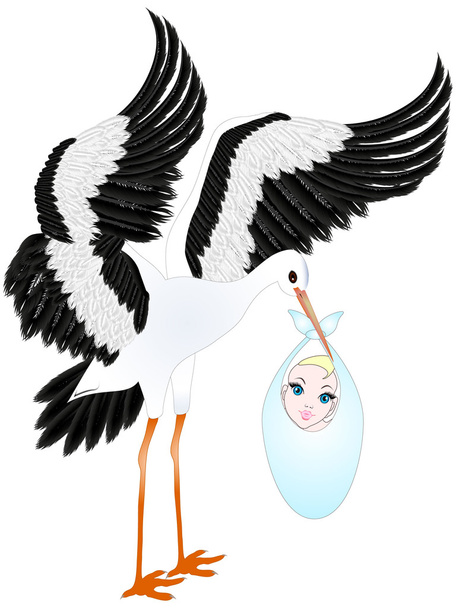 Stork with baby. - Vector, Image