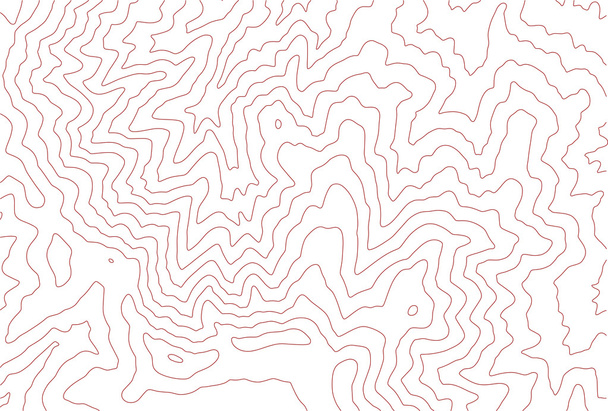 Líneas de contorno topográfico
 - Vector, imagen
