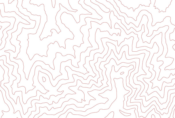 Líneas de contorno topográfico
 - Vector, imagen