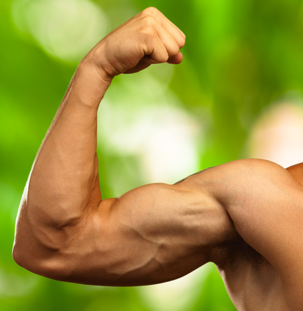 Bíceps fuertes
 - Foto, imagen