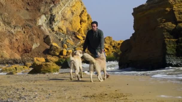 młody człowiek taniec z dwoma psami na plaży zwolnionym tempie - Materiał filmowy, wideo