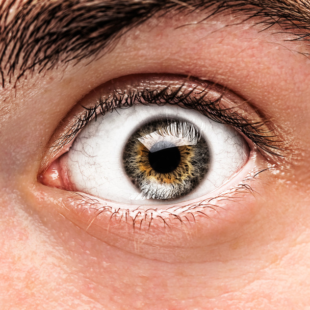 Зеленый глаз
 - Фото, изображение