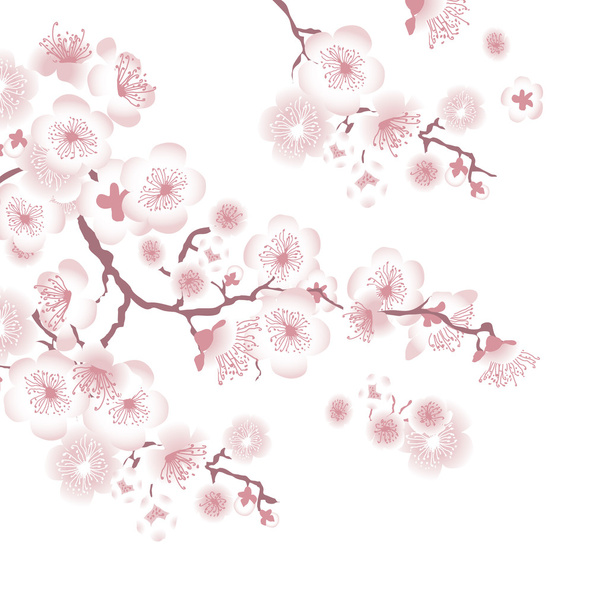 fehér fa blossom díszítőelemet. vektoros illusztráció cappl - Vektor, kép