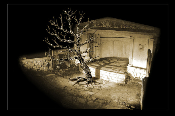 Simbolo del teatro. Montaggio fotografico 3d. Il fantastico albero appassito è sul palco
. - Foto, immagini