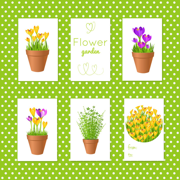 Set of vector tgs with garden flowers in pots.Gift tags and card - Vector, Image