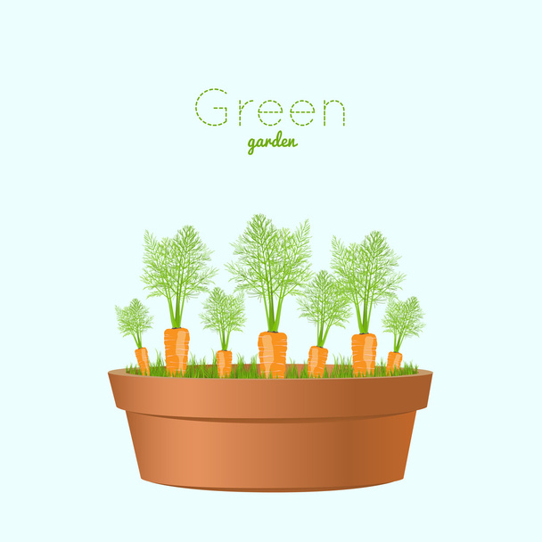 Vegetable carrots garden. Carrots in a pot. Vector illustration  - Vector, Image