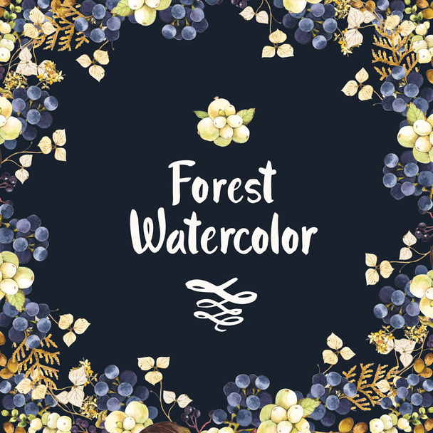 Watercolor winter berries and plants. - Φωτογραφία, εικόνα