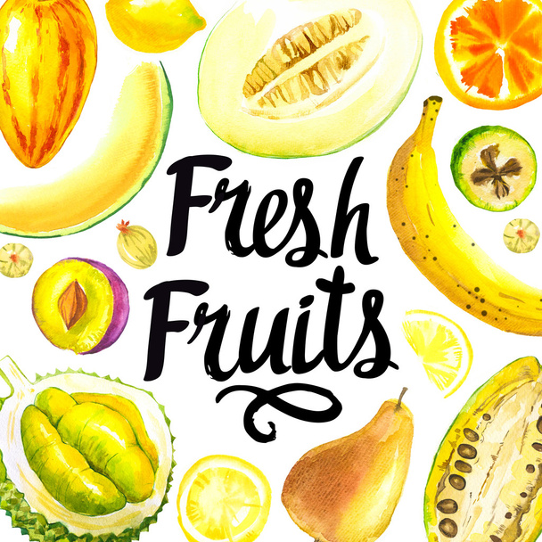 Sketch set of fresh fruits. - Foto, afbeelding