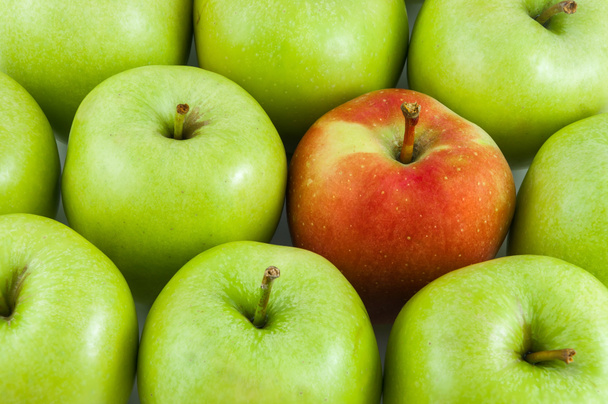 Una mela rossa tra le mele verdi
 - Foto, immagini