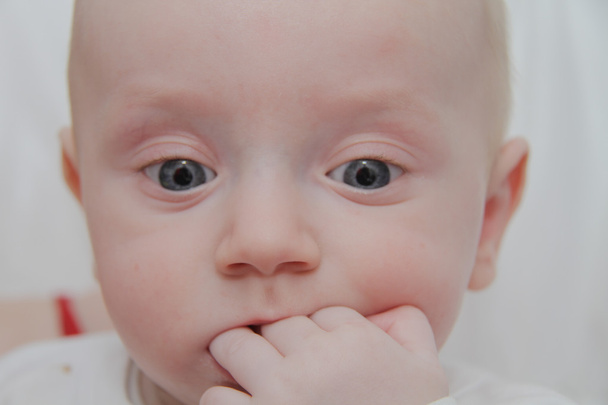 Beautiful baby boy, four months old - Valokuva, kuva