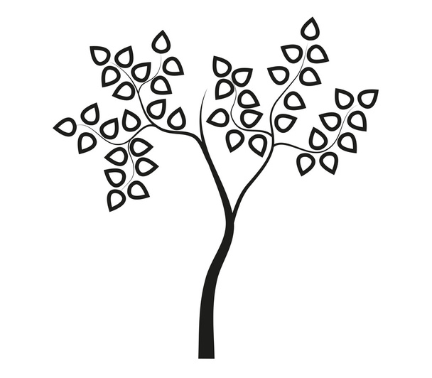 silhouette d'arbre sur fond blanc
 - Photo, image