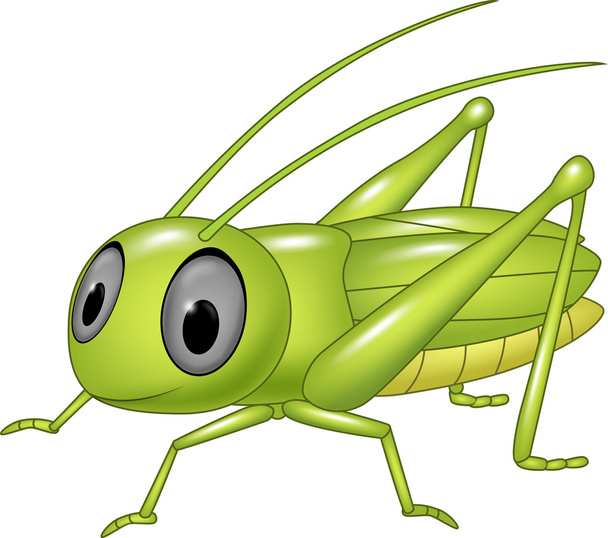 Roztomilý kobylka pózování izolované na bílém pozadí - Vektor, obrázek