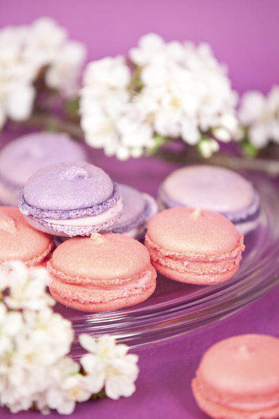 paarse Franse bitterkoekjes - Foto, afbeelding