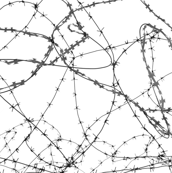 Barbed wire on white background - Photo, Image