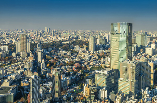 Skyline of Tokio Cityscape, Japani
 - Valokuva, kuva