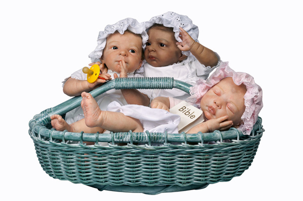 Trois bébé dans le panier
 - Photo, image