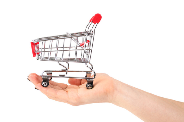 Shopping cart in the hand on white background - Foto, imagen