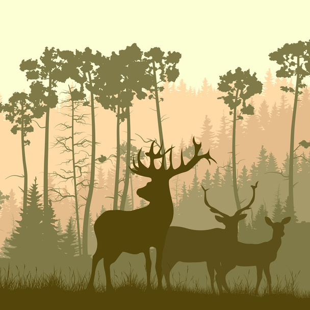 Square illustration of wild elk on edge of forest. - Vector, Image