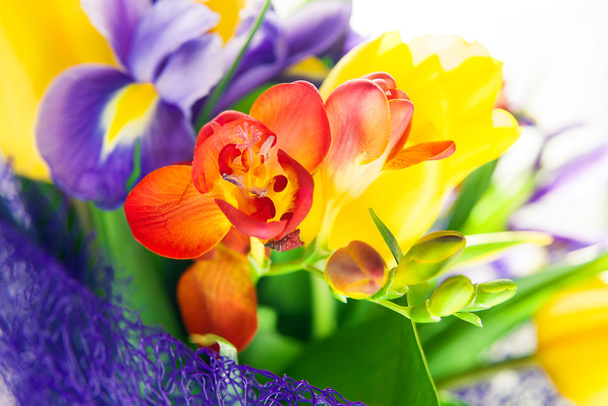 όμορφο πολύχρωμο μπουκέτο από δροσερά ανοιξιάτικα λουλούδια - Φωτογραφία, εικόνα