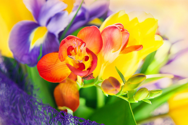 kaunis värikäs kukkakimppu tuoreita kevään kukkia
 - Valokuva, kuva