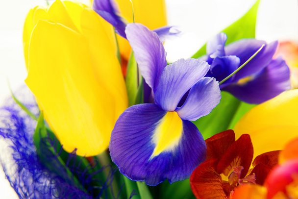 hermoso ramo colorido de flores frescas de primavera
 - Foto, Imagen