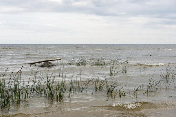 Baltık Denizi kıyısında dalgaları - Fotoğraf, Görsel