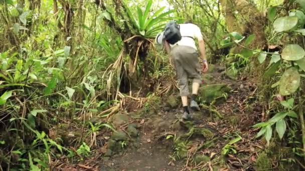Turist yağmur ormanları içinde yürüyüş - Video, Çekim