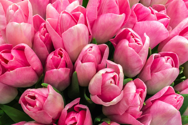 bouquet of pink tulips closeup top view. spring flowers. - Photo, Image