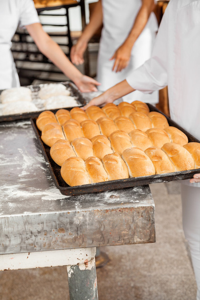Midsection Of Baker With Bread Loaves In Baking Tray - 写真・画像