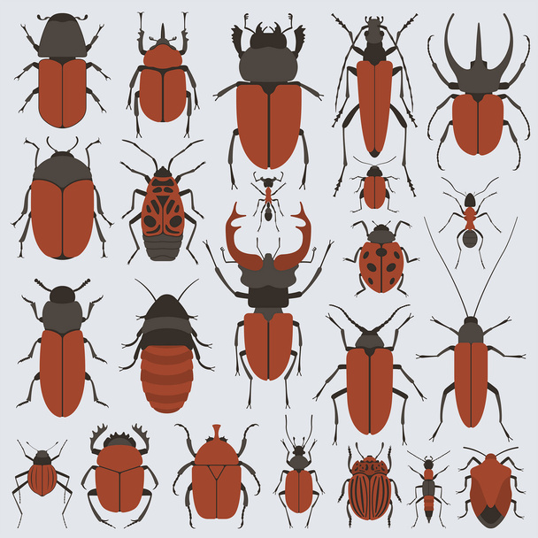 Beetles silhouette set - Vector, Image