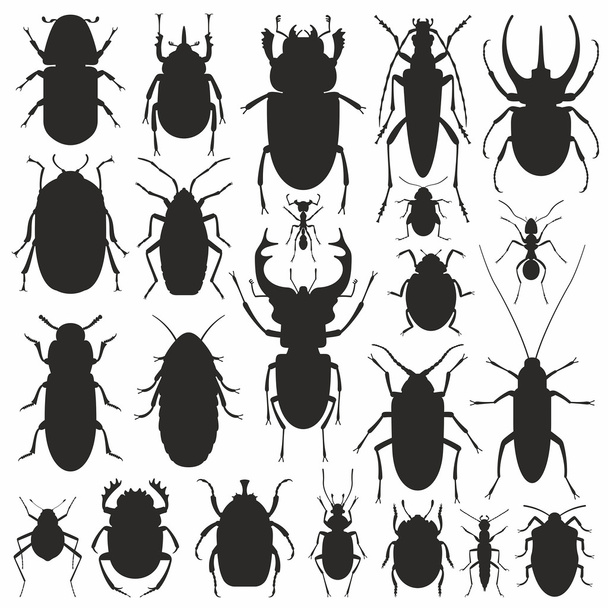 Käfer Silhouette Set - Vektor, Bild