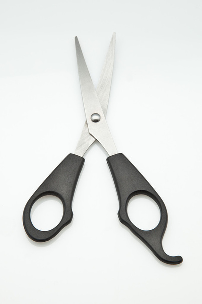 Scissors - 写真・画像