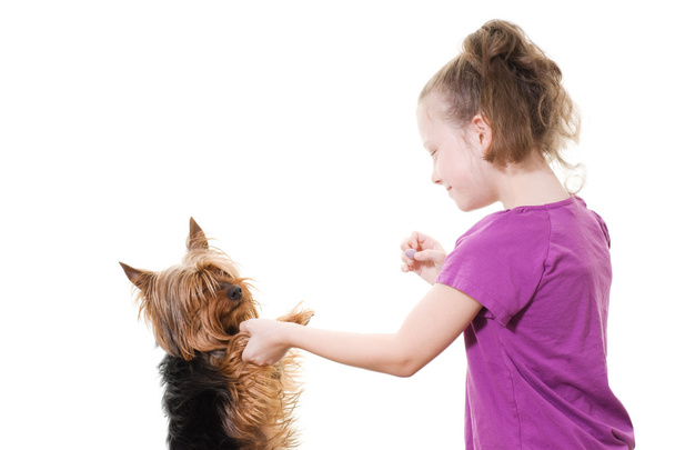 ペット犬と遊んでプレティーンの女の子 - 写真・画像
