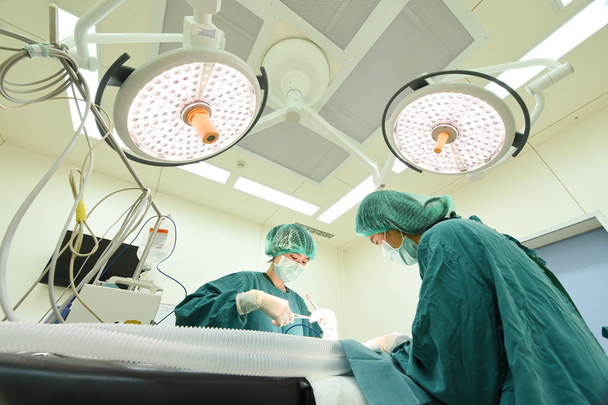 two veterinarian surgeons in operating room - Photo, Image