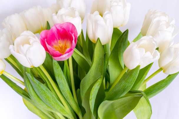 több fehér tulipánok és Vértes egy piros virág csokor - Fotó, kép