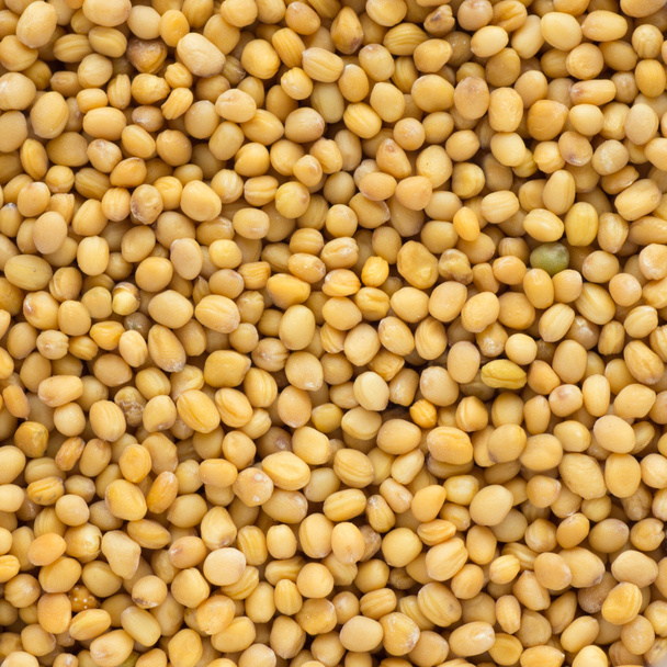 Close up of mustard seeds - Фото, изображение