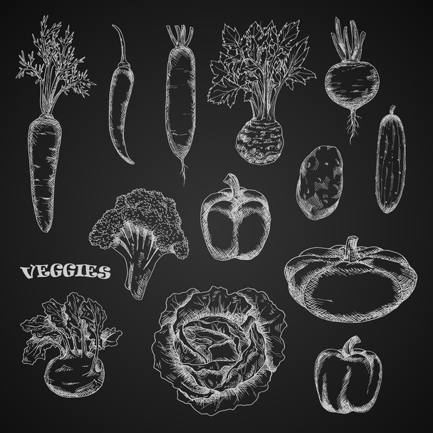 Sketched veggies in engraving style - Vector, afbeelding