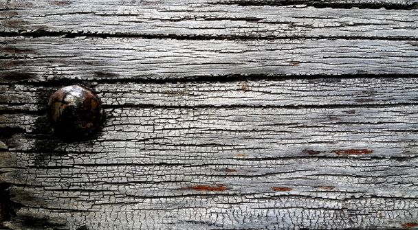 old wood with rusty nail - Foto, afbeelding