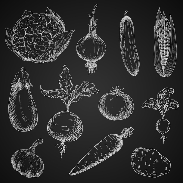 Fresh organic vegetables sketches set - Διάνυσμα, εικόνα