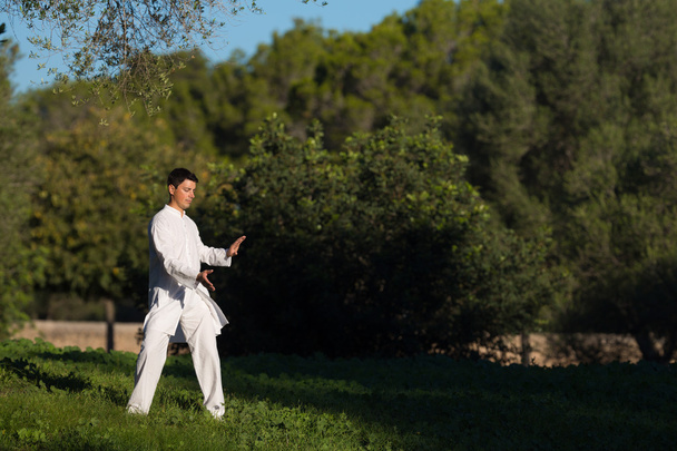 νεαρός άνδρας, εξάσκηση Tai-Chi στο πάρκο - Φωτογραφία, εικόνα