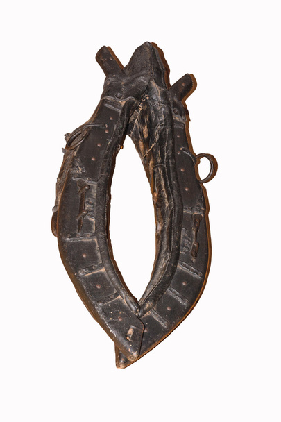 Horse tack on a wooden wall. - Photo, Image
