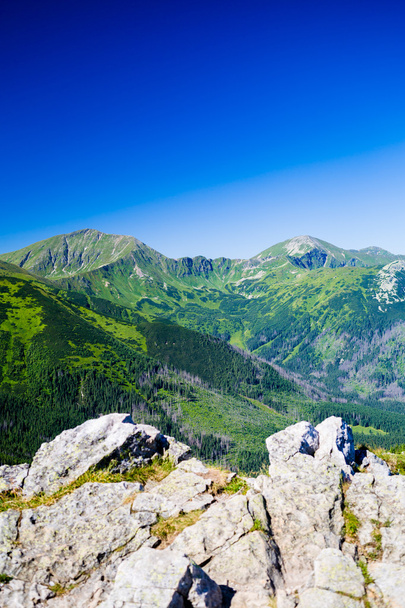 Inspirující pohled krajina hory, slunečný den v létě Tatry - Fotografie, Obrázek