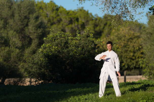 男が公園で太極拳の練習 - 写真・画像