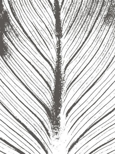 Grunge fondo blanco y negro, textura. - Vector, Imagen