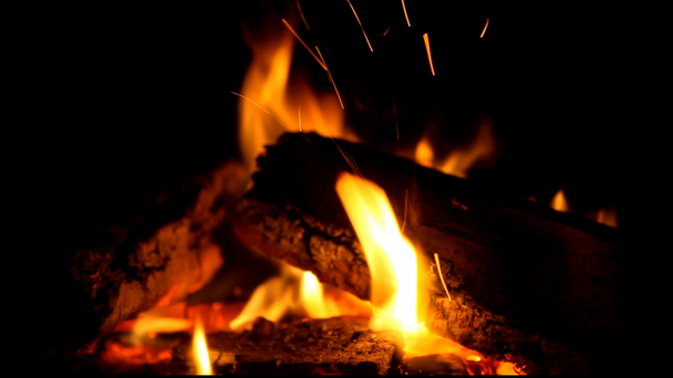 Płonące drewno w kominku - Materiał filmowy, wideo