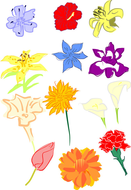 Flowers - Vector, Image