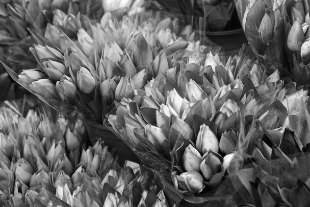 Holland, Amsterdam, Mercado de flores, tulipas holandesas falsas para venda
 - Foto, Imagem
