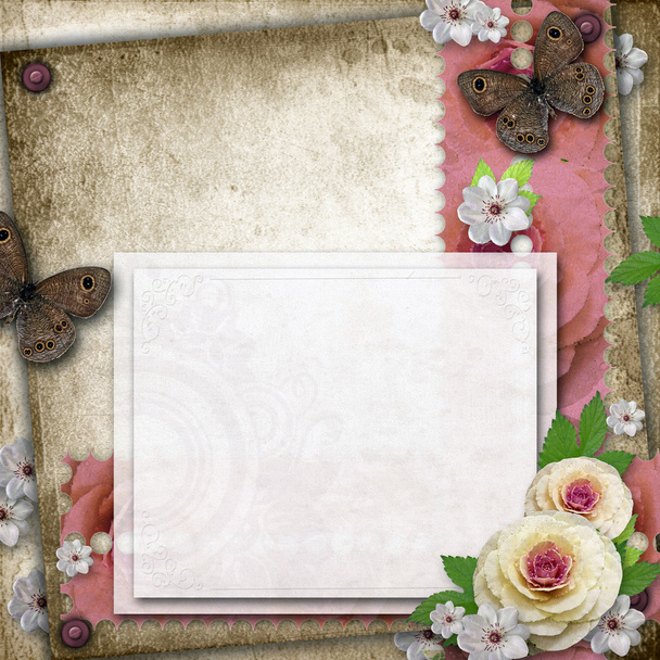 Vintage background with card, butterfly and roses for congratul - Фото, изображение